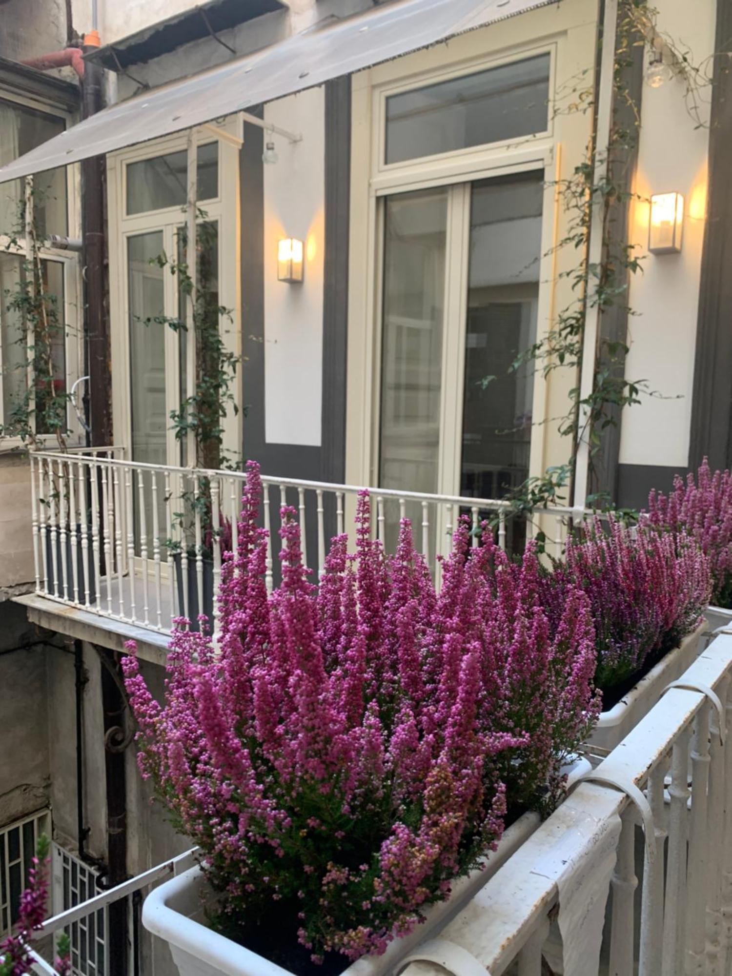 דירות נאפולי Casa Orlanda מראה חיצוני תמונה